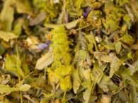 suport-blend-of-15-natural-ingredients5